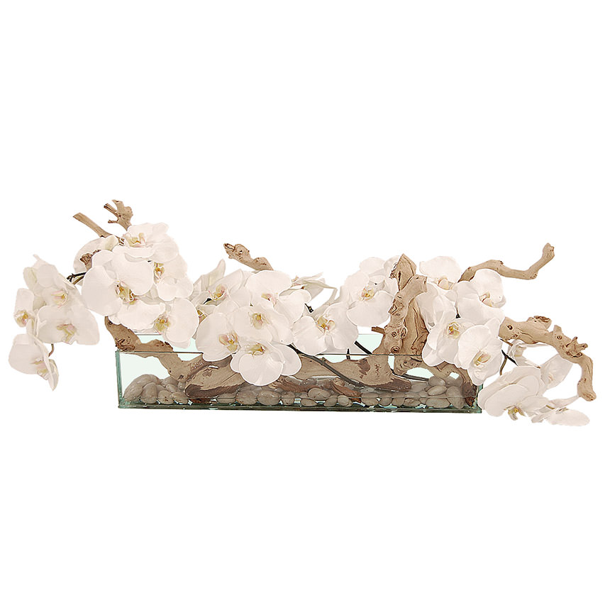 Dulce Orchids White Flower Arrangement main image, 1 of 4 images.