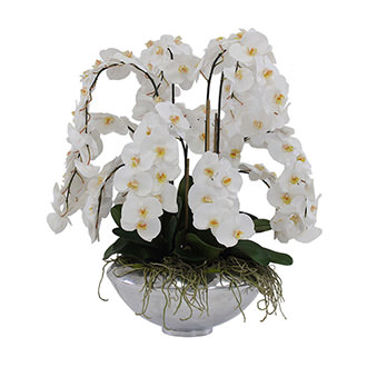 Home Decor Accents Plants Flower Arrangements El Dorado