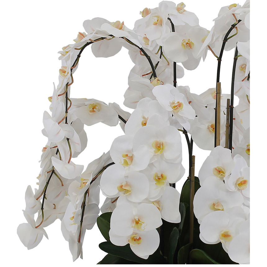 Jericho White Flower Arrangement alternate image, 3 of 4 images.