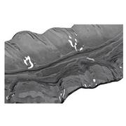 Smoked Leaf Tray  alternate image, 3 of 3 images.