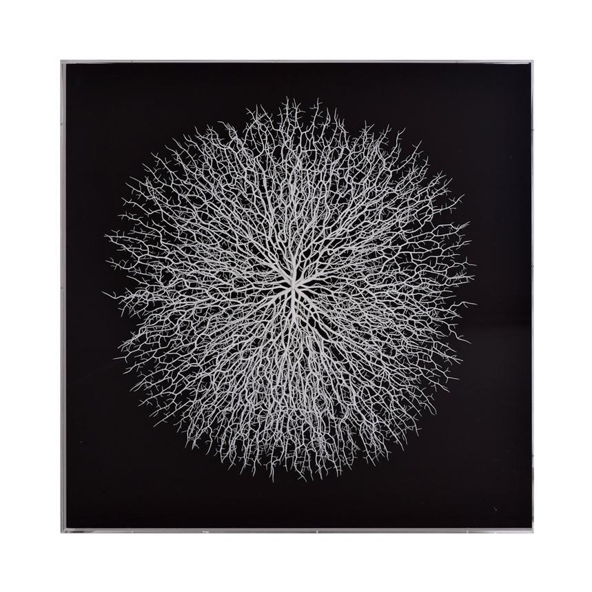 Clear Sea Fan Shadow Box  alternate image, 5 of 7 images.