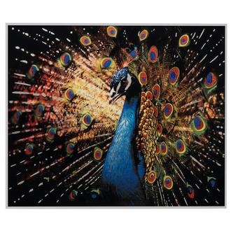 Peacock Wall Art