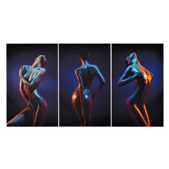 Trois Set of 3 Acrylic Wall Art