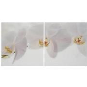 Orchidee White Set of 2 Acrylic Wall Art  main image, 1 of 4 images.
