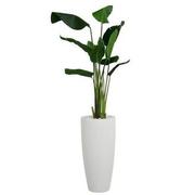 Sloane White Planter  main image, 1 of 5 images.