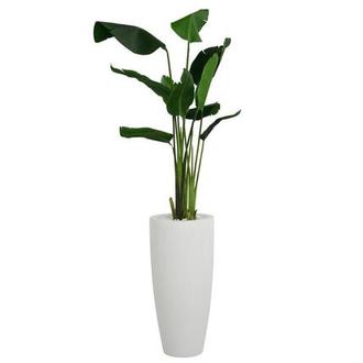 El Dorado Furniture Fort Myers Boulevard El Dorado Furniture