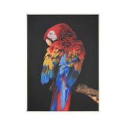Parrot Wall Art  main image, 1 of 4 images.