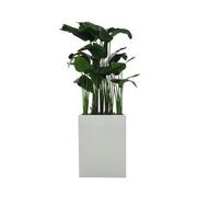 Kalei Planter  main image, 1 of 6 images.