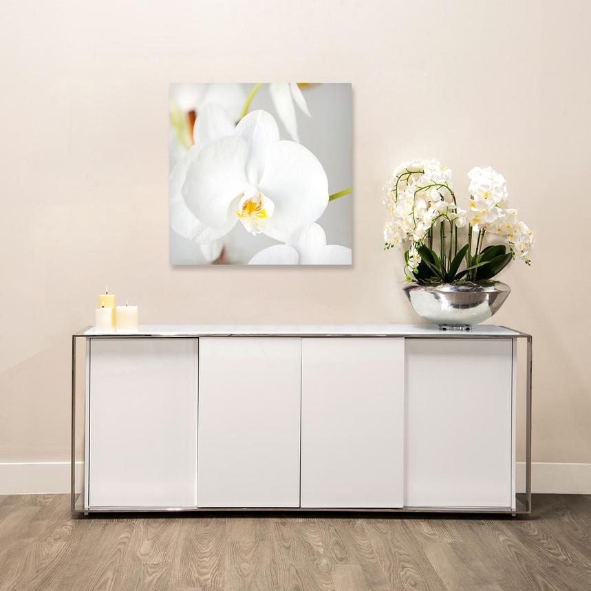 Ataraxy Acrylic Wall Art El Dorado Furniture