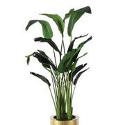 Oro Puro Planter  alternate image, 2 of 4 images.