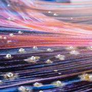 Betta Multicolor Acrylic Wall Art  alternate image, 3 of 3 images.