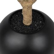 Antakya Black Planter  alternate image, 3 of 5 images.
