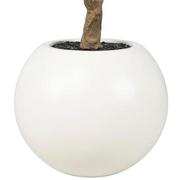 Antakya White Planter  alternate image, 5 of 7 images.