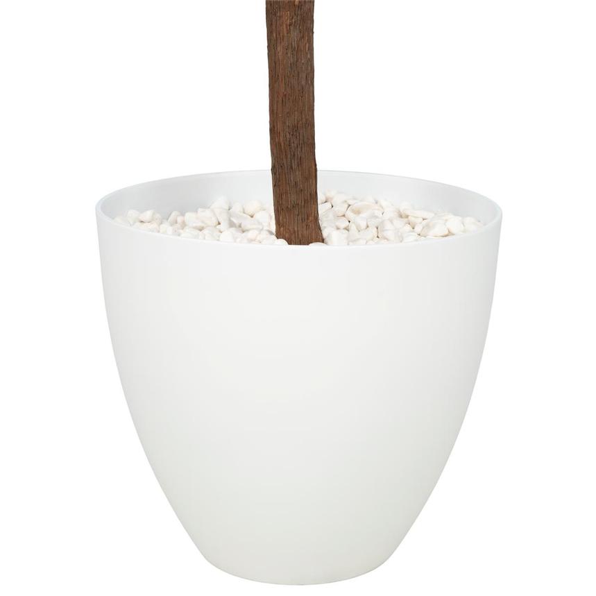 Jemima Planter  alternate image, 4 of 5 images.