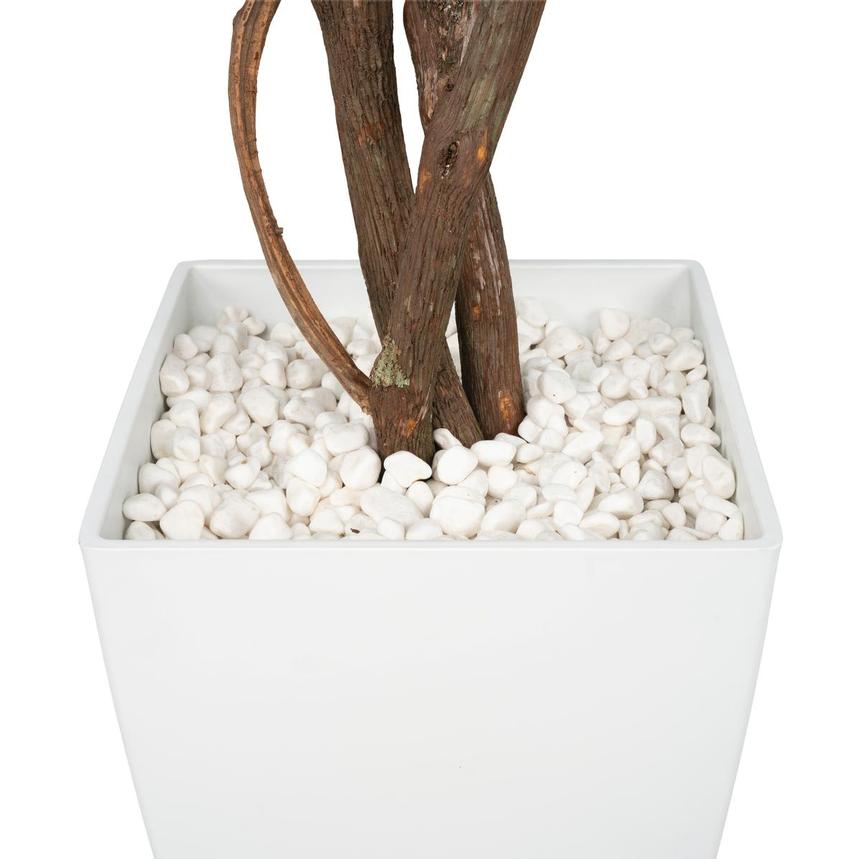 Maacah Planter  alternate image, 5 of 6 images.