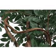 Maacah Planter  alternate image, 6 of 6 images.