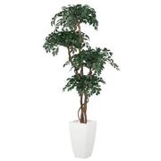 Maacah Planter  main image, 1 of 6 images.