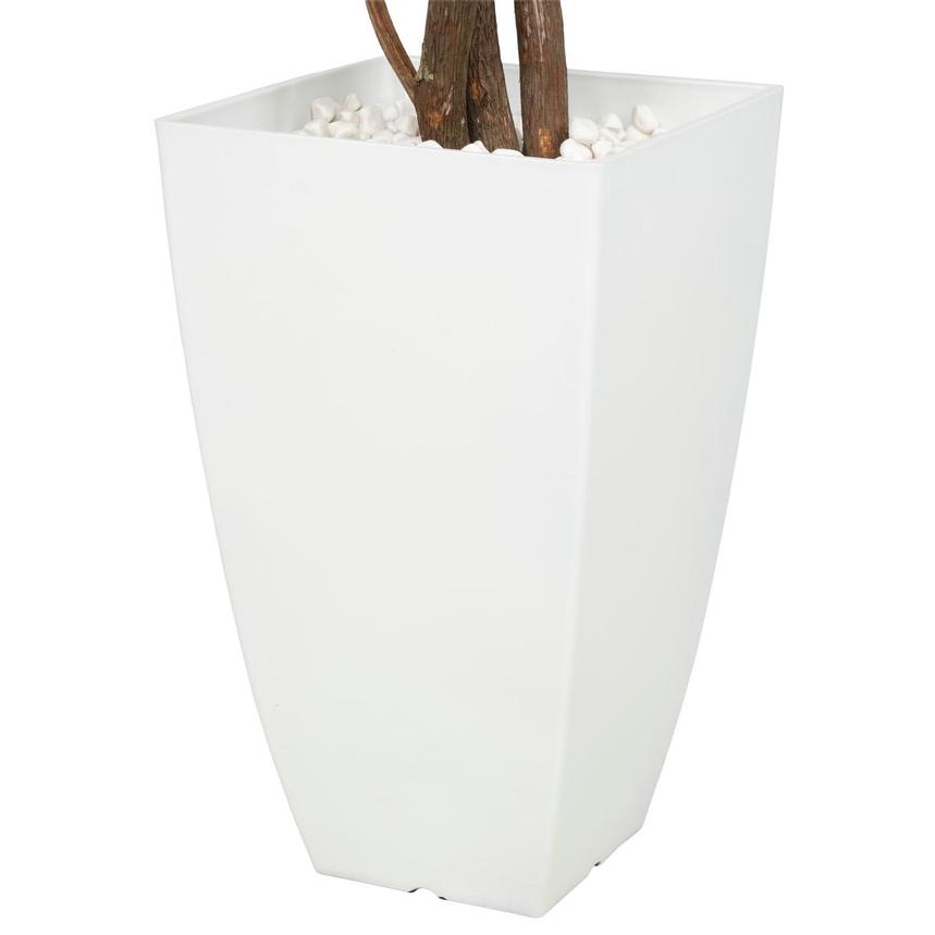 Maacah Planter alternate image, 4 of 6 images.