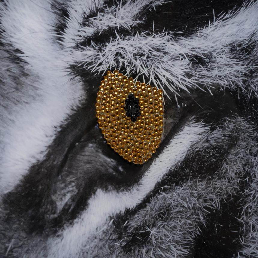 Stealth And Strength Acrylic Wall Art  alternate image, 5 of 5 images.