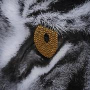 Stealth And Strength Acrylic Wall Art  alternate image, 5 of 5 images.