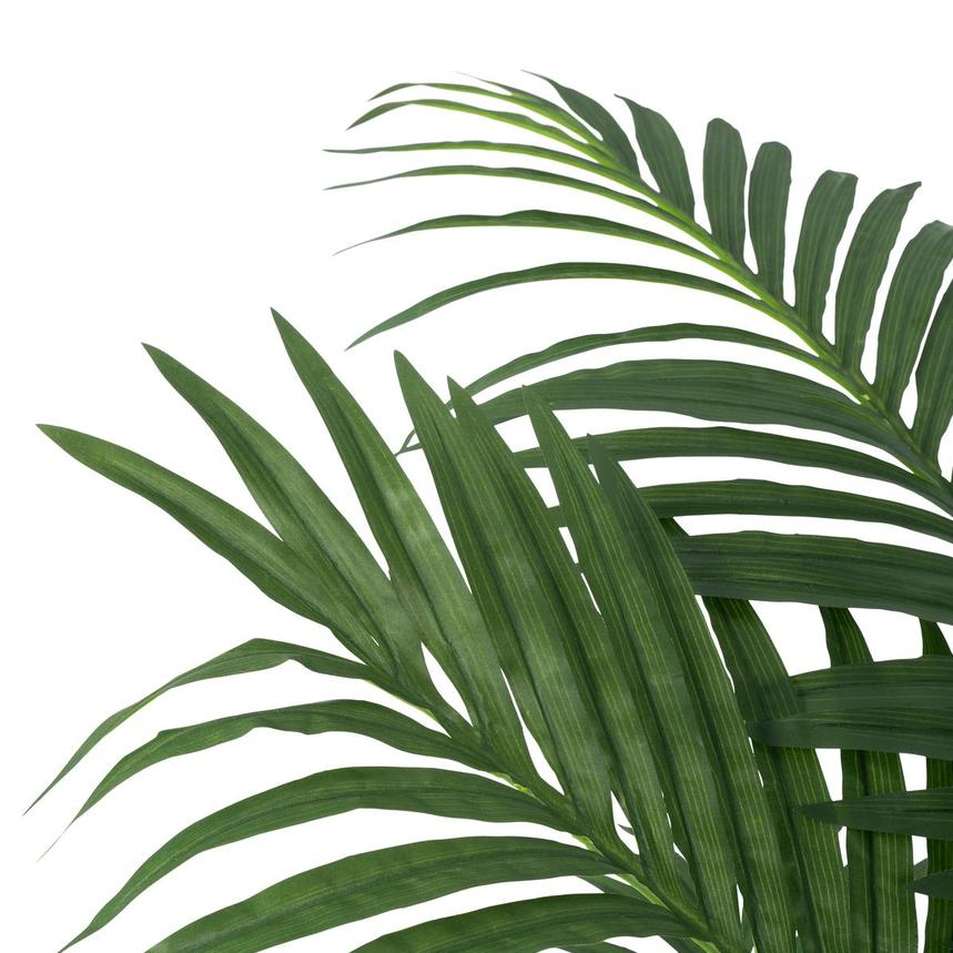 Macha Plant  alternate image, 5 of 5 images.