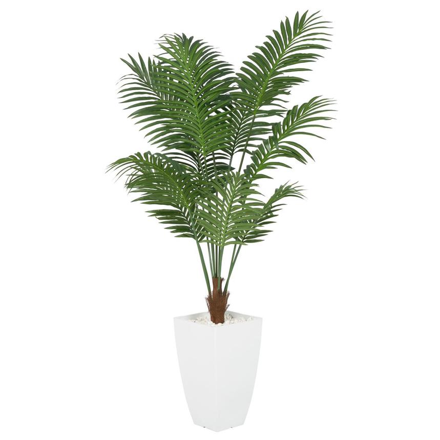 Macha Plant main image, 1 of 5 images.