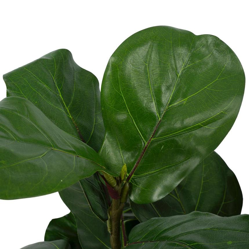 Wumple Plant  alternate image, 5 of 5 images.