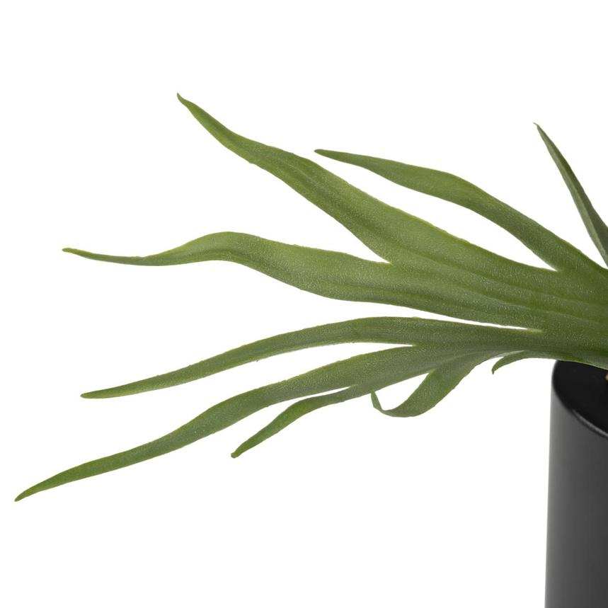 Savannah Noir Flower Arrangement  alternate image, 13 of 14 images.