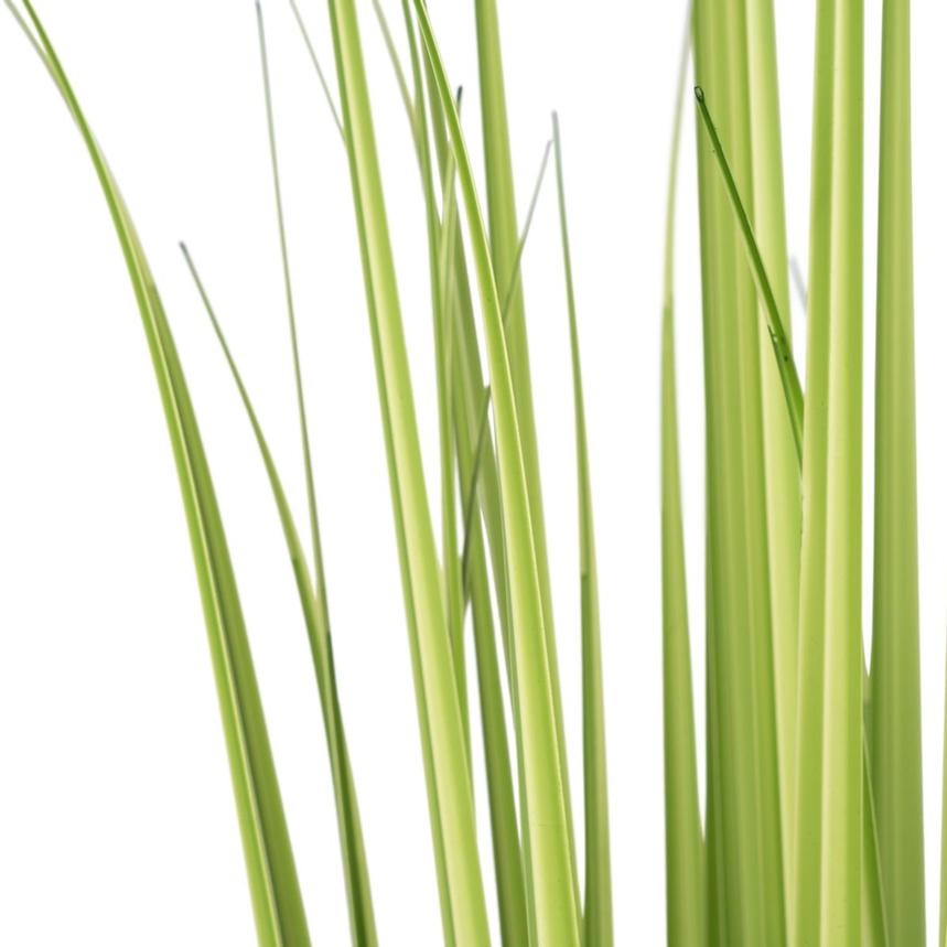 Bonaroo Planter  alternate image, 8 of 8 images.