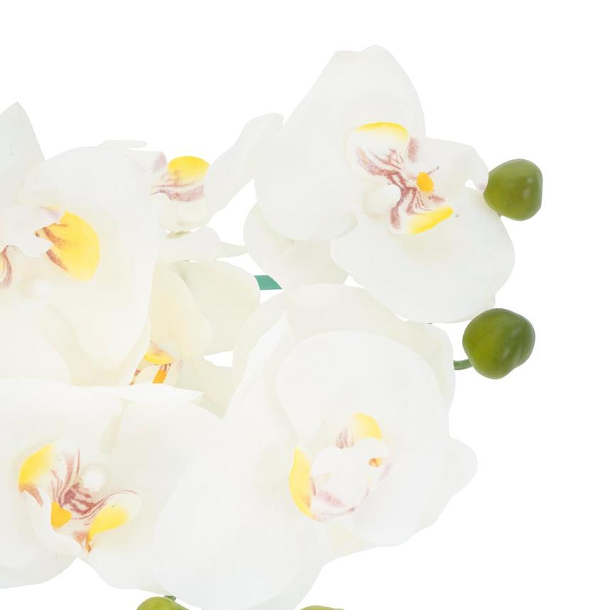 Floating Orchids Flower Arrangement  alternate image, 8 of 8 images.