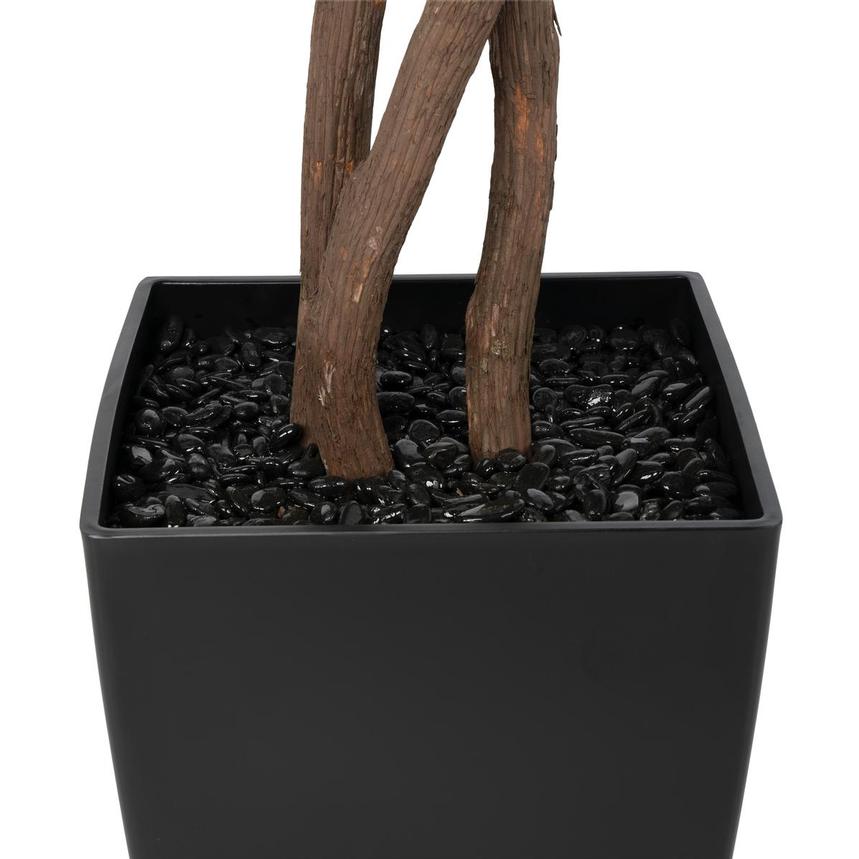 Zen Rise Planter alternate image, 6 of 10 images.