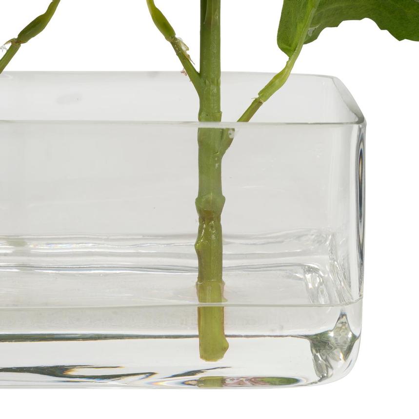 Teffit Plant  alternate image, 6 of 7 images.