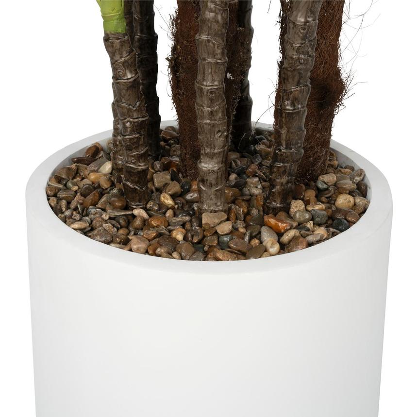 Albacore Planter  alternate image, 6 of 9 images.