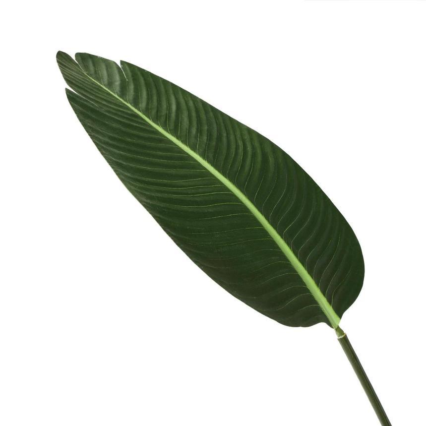 Harmony of Leaves Planter alternate image, 6 of 6 images.
