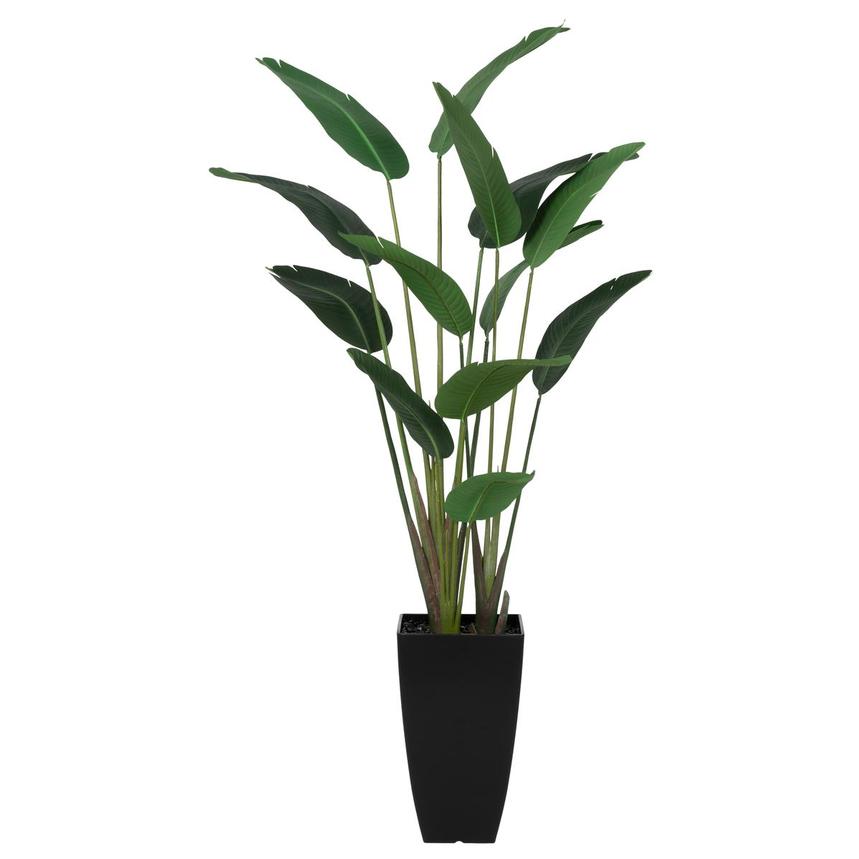 Allium Planter