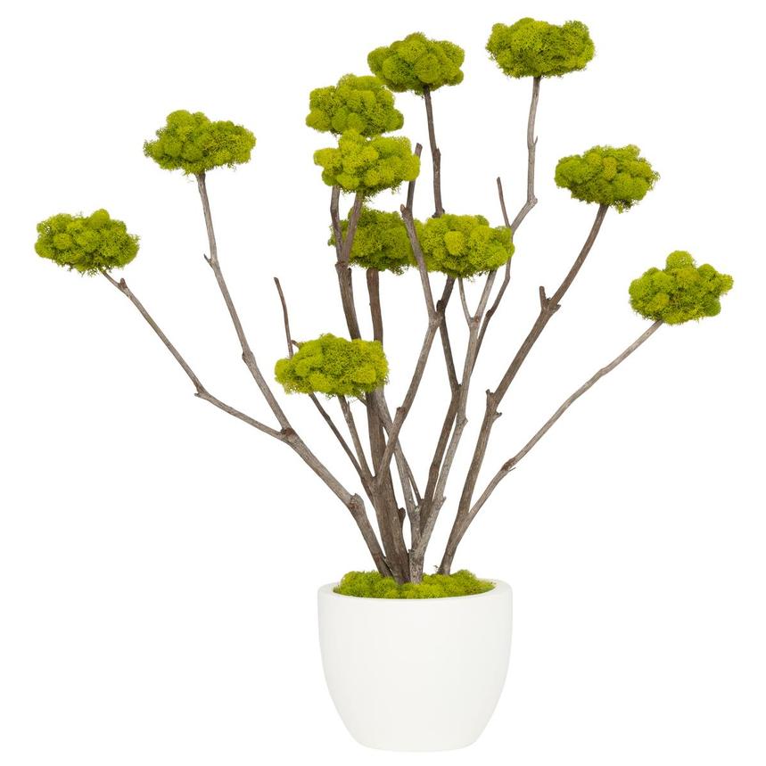 Robata Greenery Arrangement