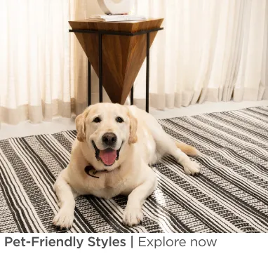 Pet-Friendly Styles. Explore now.